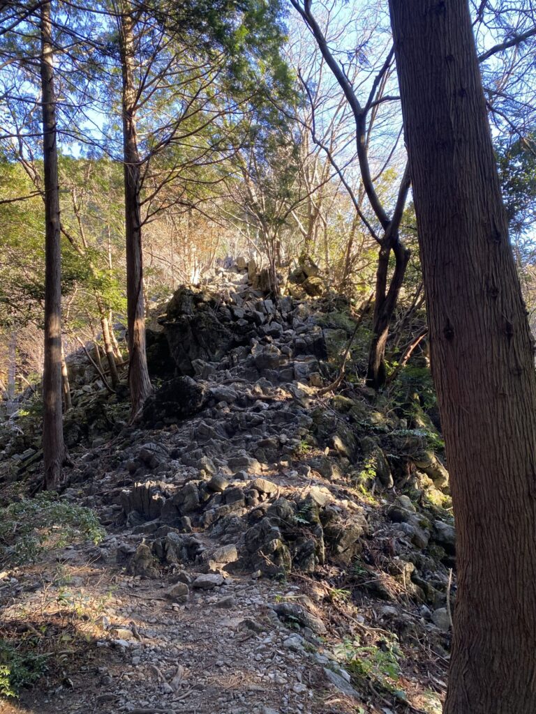 竜ヶ岳登山道の岩場