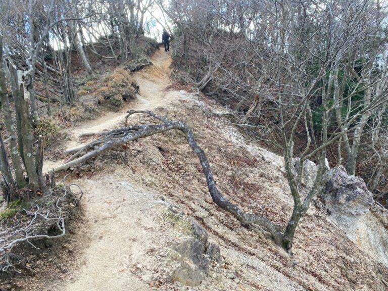 鎌ヶ岳の根が張り出した登山道