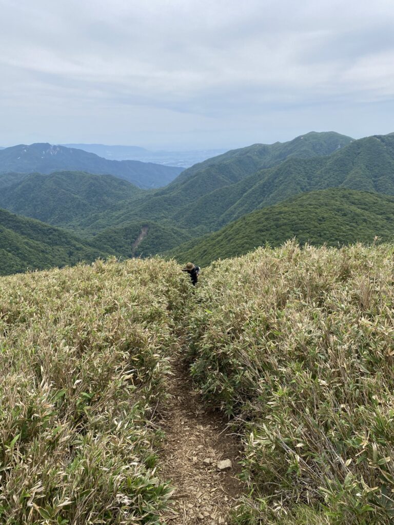 雨乞岳 笹原の稜線を歩く