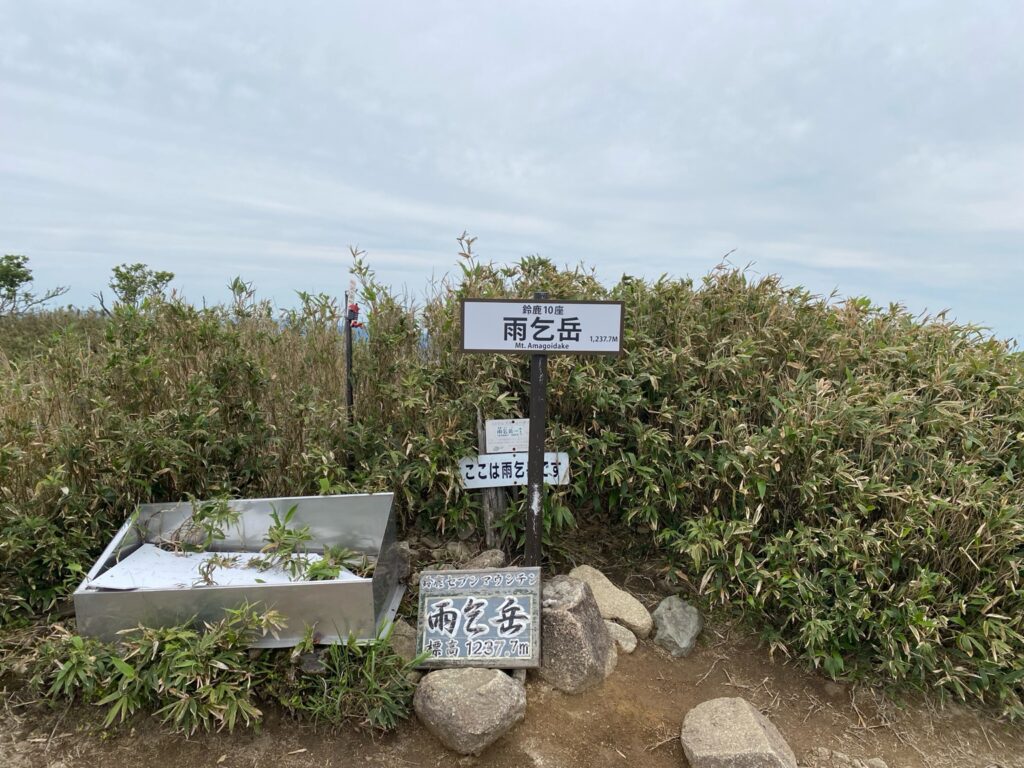 雨乞岳 山頂の笹原と標識