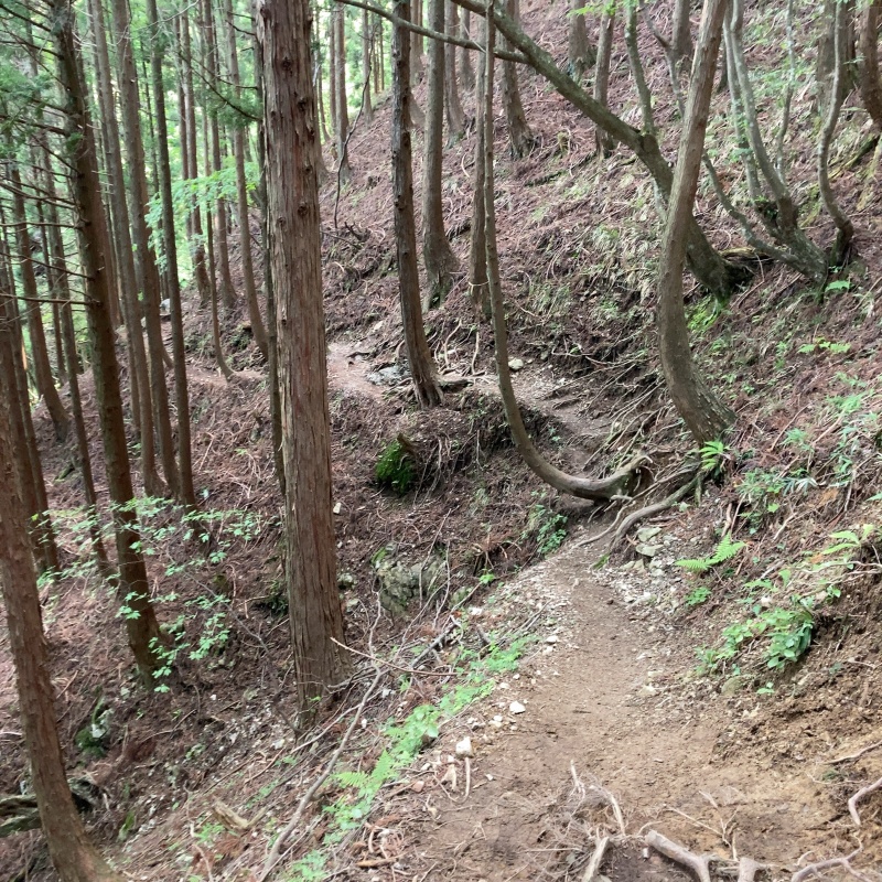 道がえぐれている場所