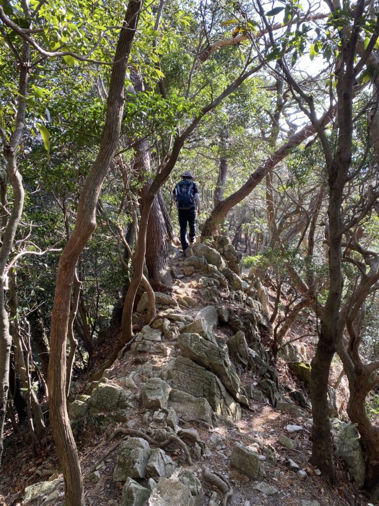 竜ヶ岳 登山道 岩場と登山者