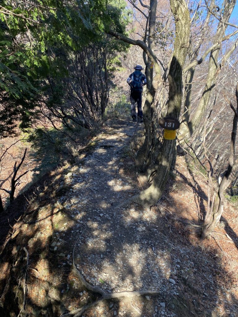 竜ヶ岳 登山道 黄色道標と登山者