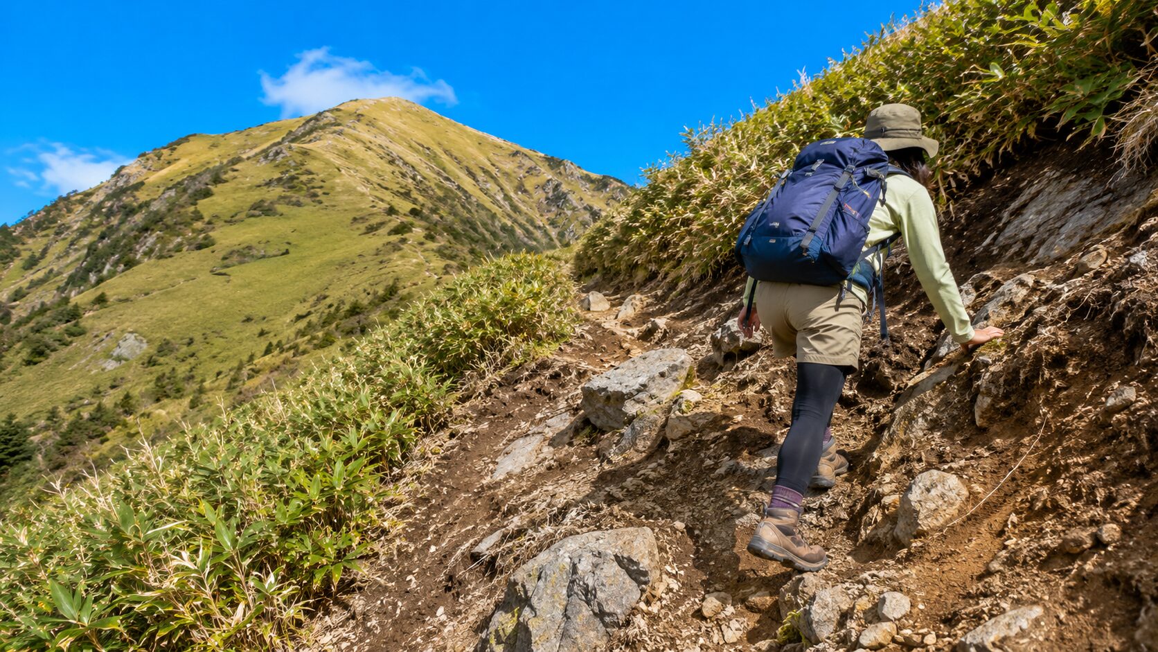 入道ヶ岳の笹原の登山道を慎重に登る初心者登山者