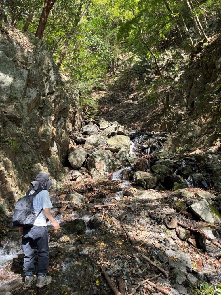 湧水が流れる井戸谷コースの登山道