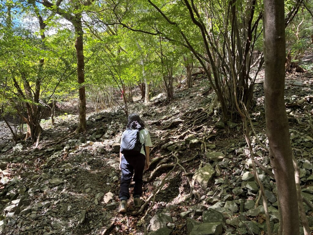 岩と木の根の登り