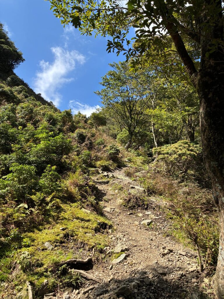 空が見えてきた登山道