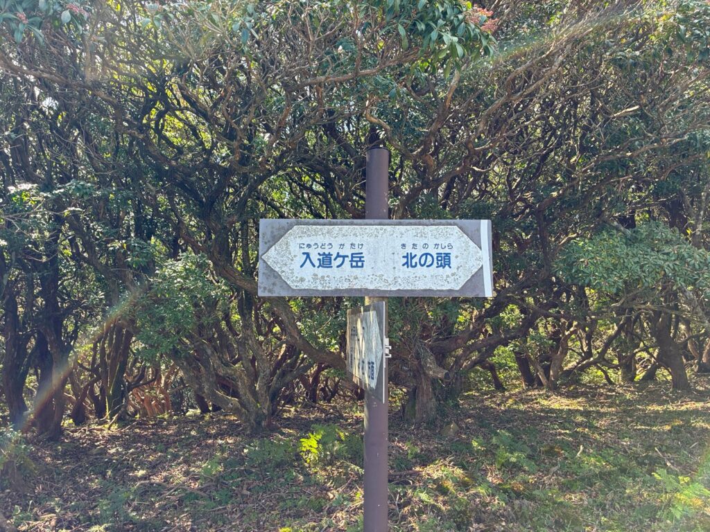 入道ヶ岳と北の頭の分岐の標識