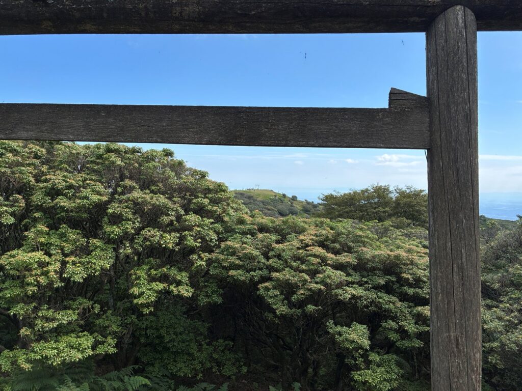 奥宮の鳥居越しに見える山頂の大鳥居