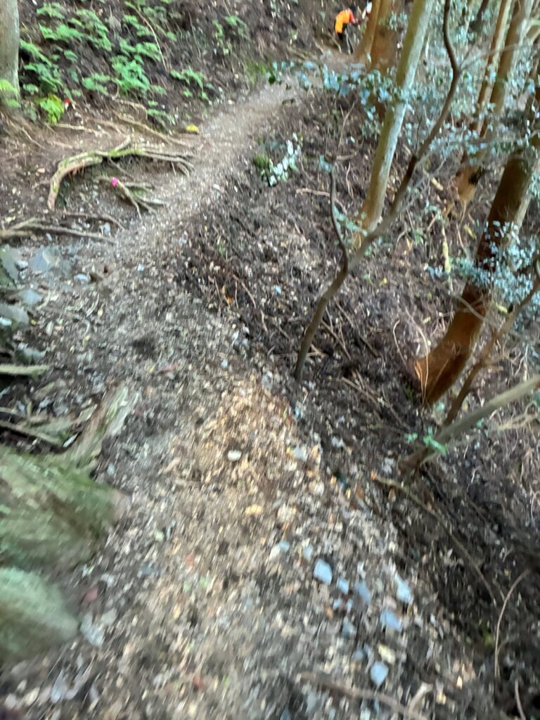 道が細くなった二本松尾根コース