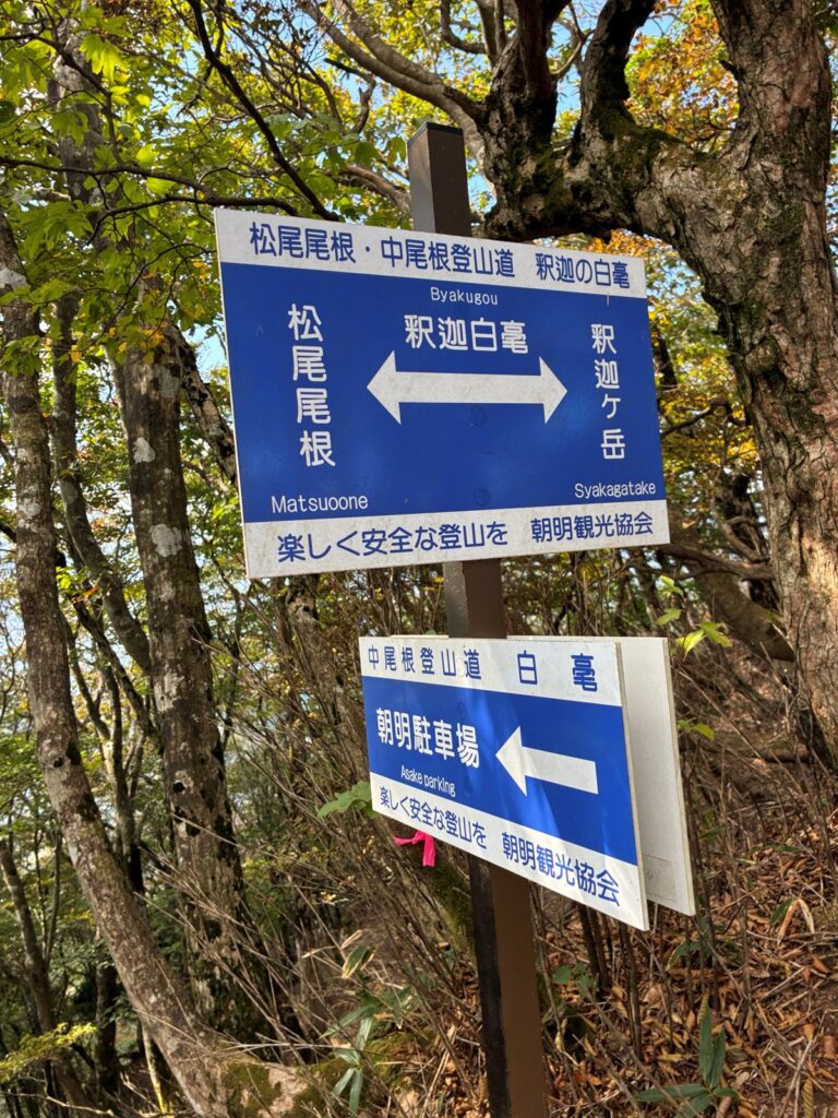 釈迦の白毫の標識