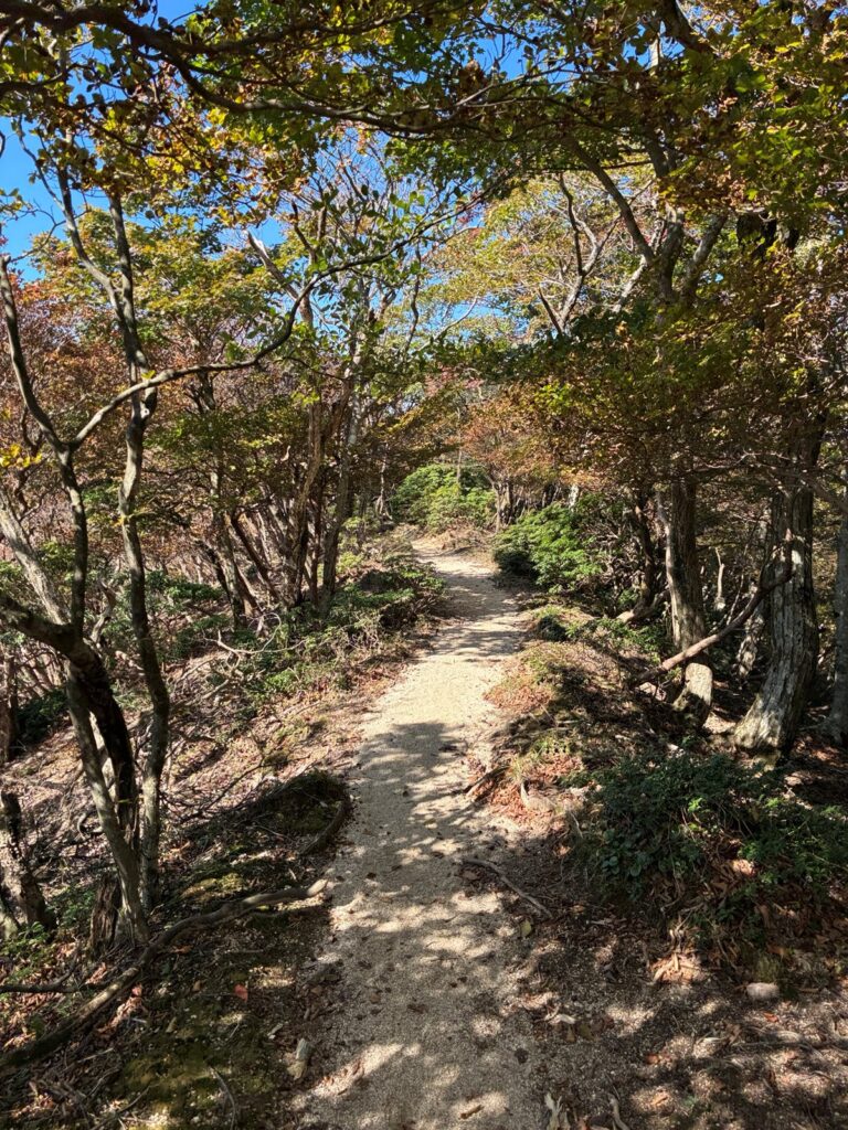 猫岳へ向かう縦走路