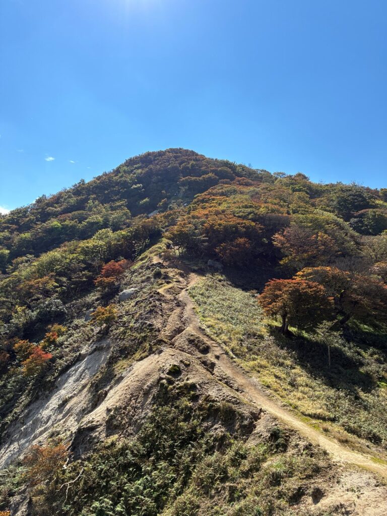 猫岳へ続く道