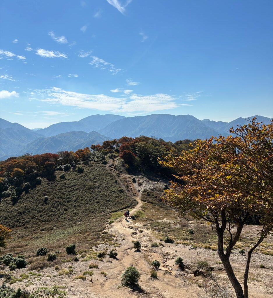 羽鳥峰へ向かう尾根道