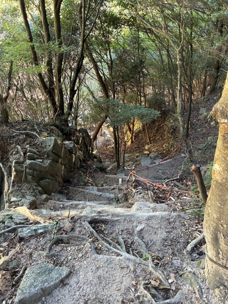 沢へ下る急坂とロープ